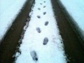Flintstone