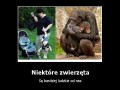 Kto jest zwierzęciem