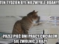 To był dobry tydzień