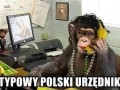 Typowy polski urzędnik