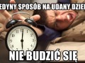 Udany dzień