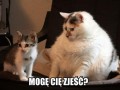 Mogę cię zjeść