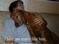 My human