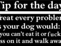 Do it as your dog would
