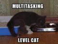 Multitasking