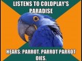Parrot dies
