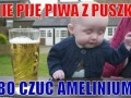 Ameinium