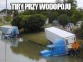Tiry przy wodopoju