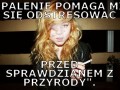 Trzynastki