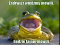Wiedźma