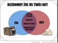Kot vs żul