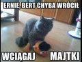 Przyłapani na gorącym uczynku
