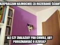 Przepraszam najmocniej