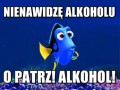 Nienawidzę alkoholu