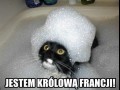 Jestem królową