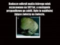 Naukowcy tacy sprytni