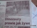 Ruchaja sie