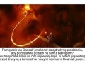 Gandalf cwaniak