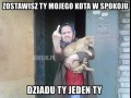 Zostaw ty kota