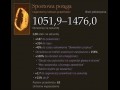 Sportowa potęga