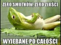 Zero smutku