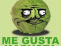 Kapusta