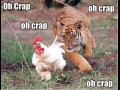 Oh crap