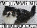 Yarr