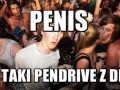 Penis