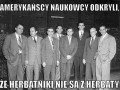 Herbatniki