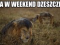 Weekendy takie są