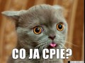 Co ja ćpie