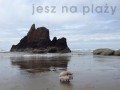 Nie śmieć kiedy jesz na plaży