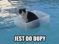 Jest do dupy