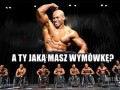 Jak to wygląda lenie