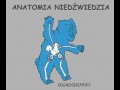 Anatomia niedźwiedzia