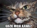 Pytam się