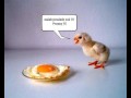 Odezwij się