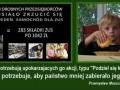 Zus jest fajny