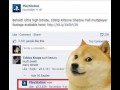 Playstation doge