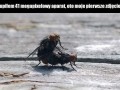 Kupiłem nowy aparat