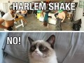 Noharlemshake