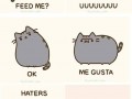 Memy 1