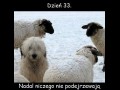 Ciekawe co przyniesie jutro