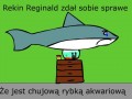 Biedny rekin