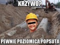 Typowy włodek  majster budowlaniec złota rączka