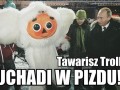 Uchadi