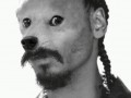 Snoop doge