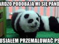Bardzo chciałem mieć pande