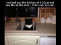 Paranormal cativity